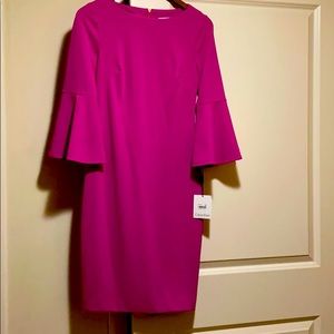 Pink dress with bell sleeves!
